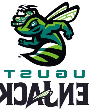 Augusta Greenjackets Salem