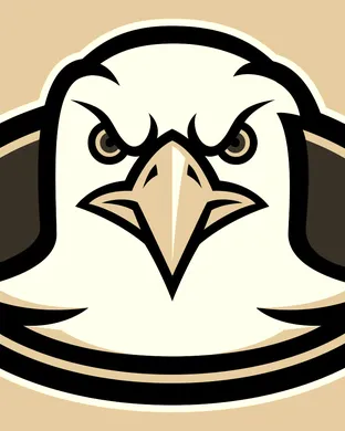 Boston College Eagles Football Chestnut Hill