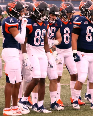 Bucknell Bison Lexington