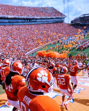 Clemson Tigers Football Clemson