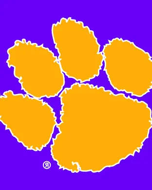 Clemson Tigers vs. Virginia Tech Hokies