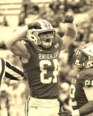 Furman Paladins Football Lexington