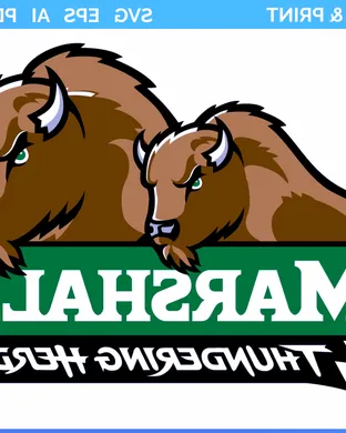 Marshall Thundering Herd Huntington