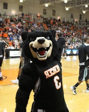 Mercer Bears Football Lexington