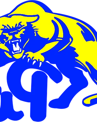Pittsburgh Panthers Blacksburg