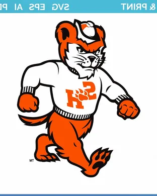 Sam Houston Bearkats Football Lynchburg