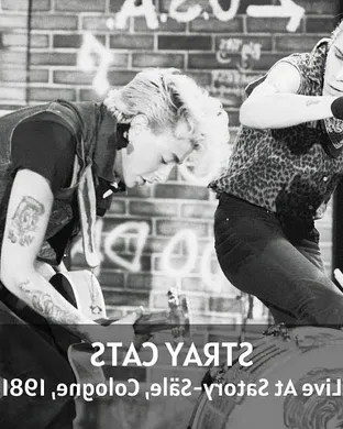 Stray Cats