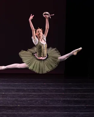 Virginia National Ballet Lynchburg