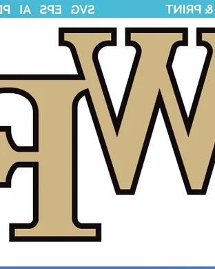 Wake Forest Demon Deacons Winston Salem