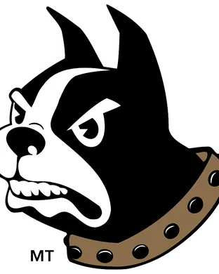 Wofford Terriers Spartanburg