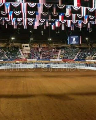 Buckin' B Bull Ride